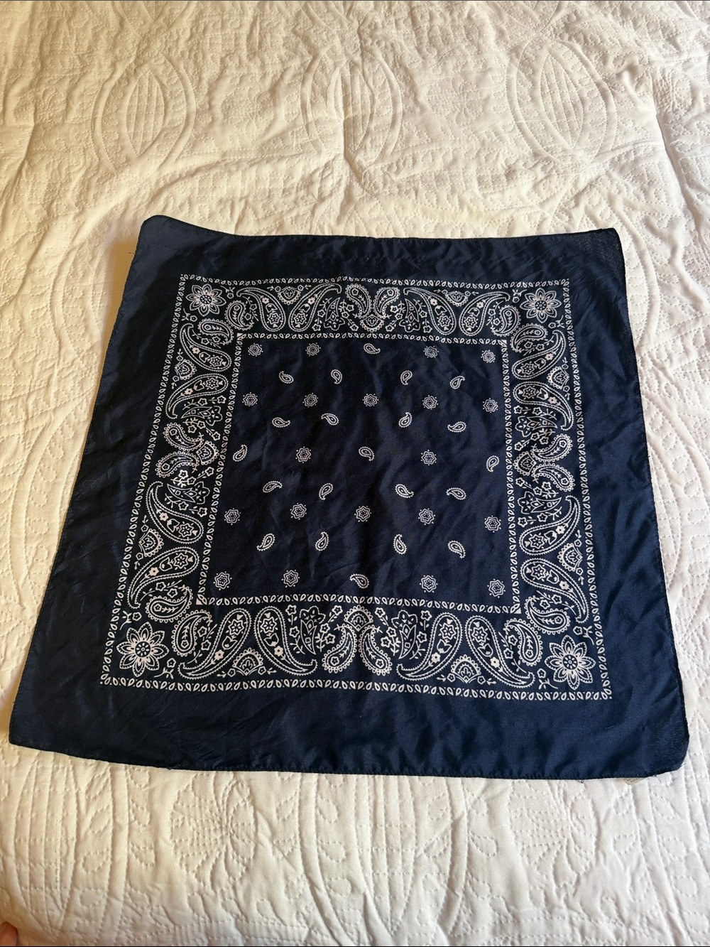 Classic Navy Paisley Bandana Scarf - Home Accents